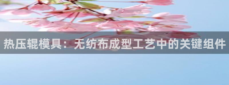 emc倍频：热压辊模具：无纺布成型工艺中的关键组件