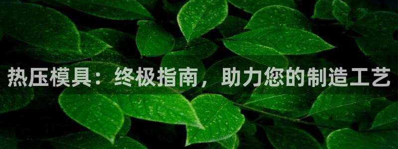 易倍emc网址网页版本登陆：热压模具：终极指南，助力您的