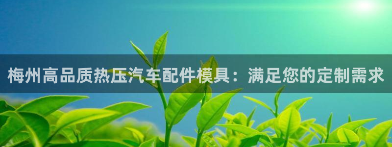 易倍申服用方法：梅州高品质热压汽车配件模具：满足您的定制