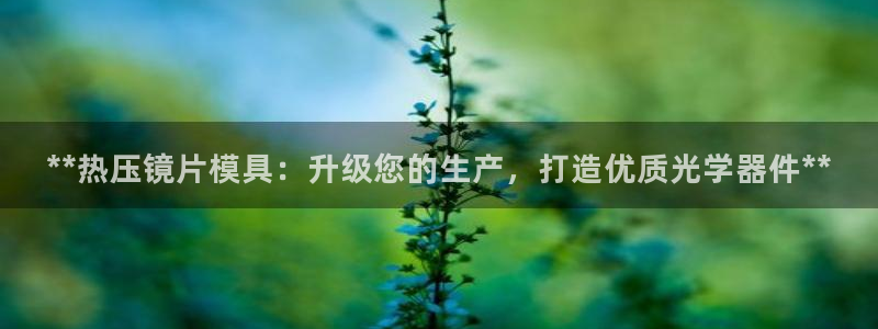 emc32软件安装：**热压镜片模具：升级您的生产，打造