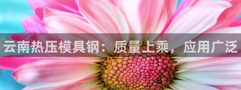 易倍申可以长期服用吗：云南热压模具钢：质量上乘，应用广泛