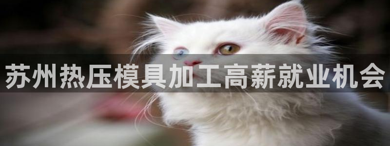 易倍申片说明书