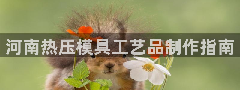 易倍申竞品