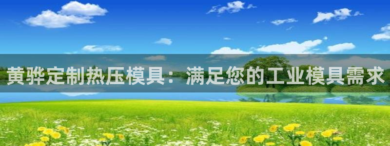 emc易倍官网登录入口：黄骅定制热压模具：满足您的工业模