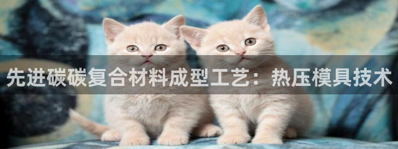 易倍思怎么样