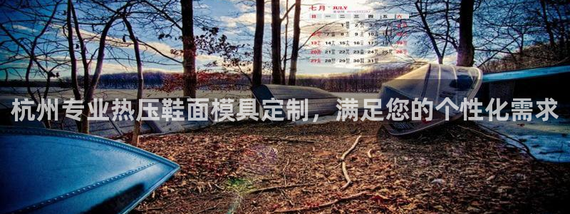 emc低频：杭州专业热压鞋面模具定制，满足您的个性化需求