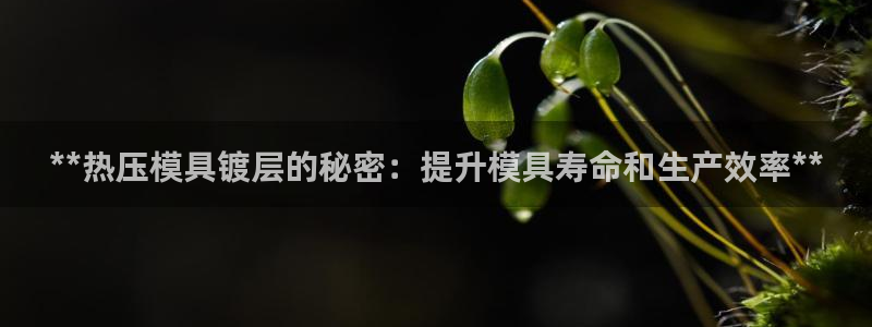 易倍达科技有限公司招聘