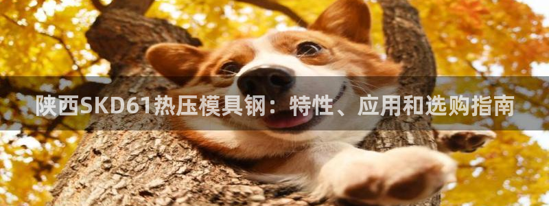 emc易倍官方下载