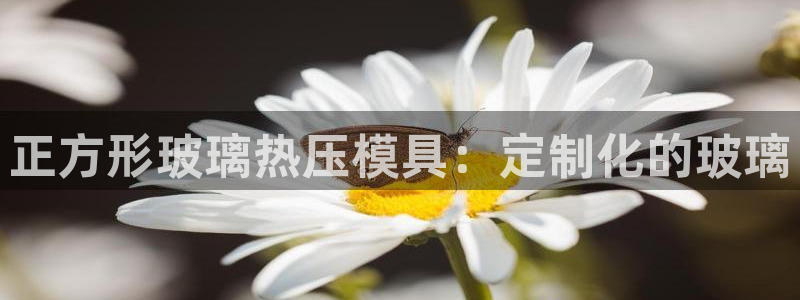 emc易倍网页版