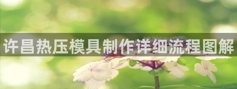 emc易倍ios官网