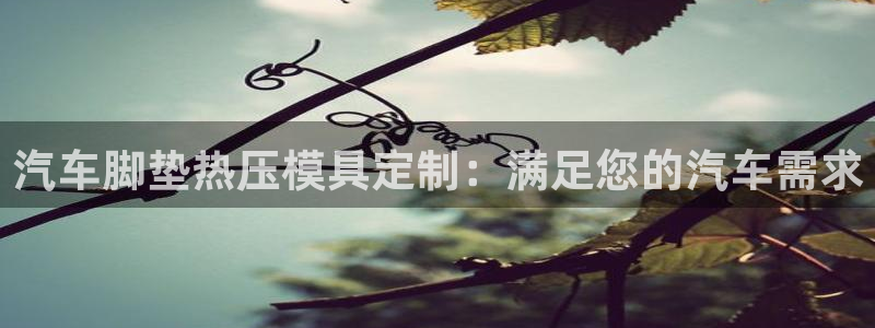 EMC易倍让身份验证：汽车脚垫热压模具定制：满足您的汽车