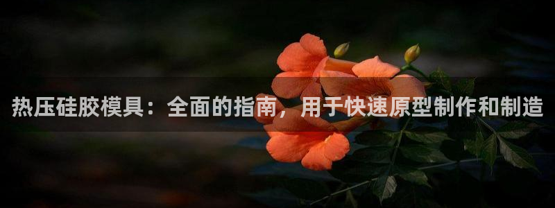 emc易倍首页：热压硅胶模具：全面的指南，用于快速原型制