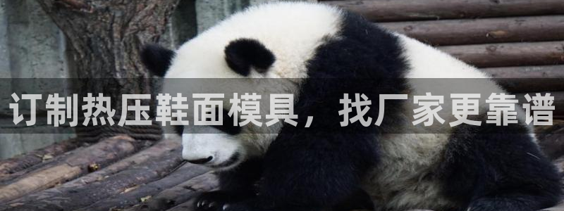 易倍单词官方网站下载