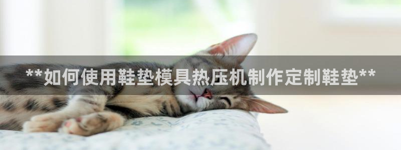易倍纤代餐奶昔怎么样