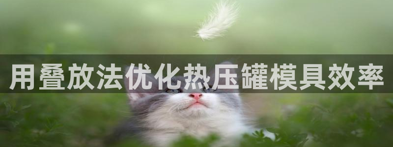 易倍申多少钱