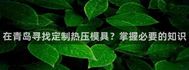 Emc易赔体育：在青岛寻找定制热压模具？掌握必要的知识