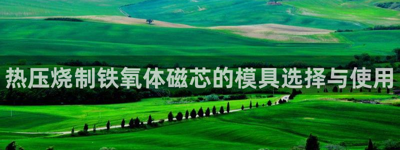 易倍申是进口药吗