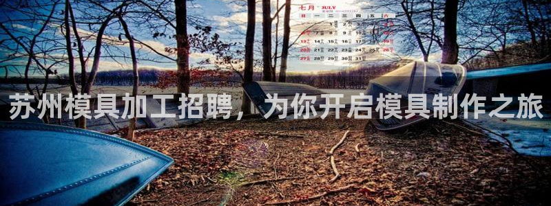 杭州易倍达科技有限公司怎么样