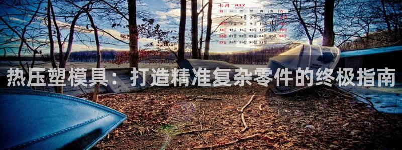 易倍申的价格