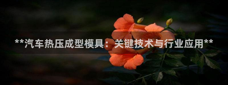 易倍申多少钱：**汽车热压成型模具：关键技术与行业应用*