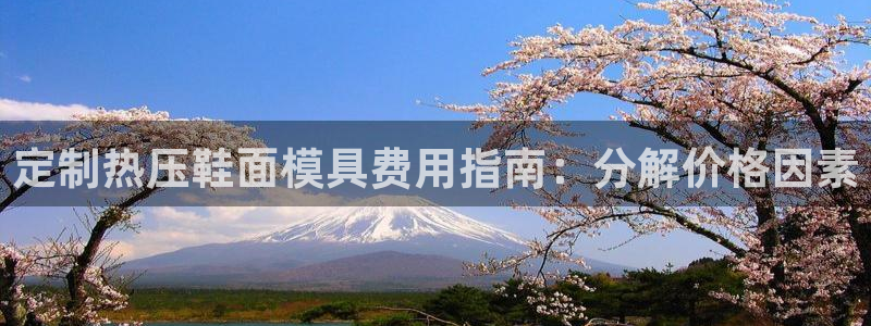 易倍单词官方网站下载安卓