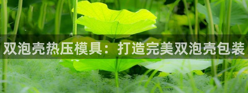 emc频率：双泡壳热压模具：打造完美双泡壳包装