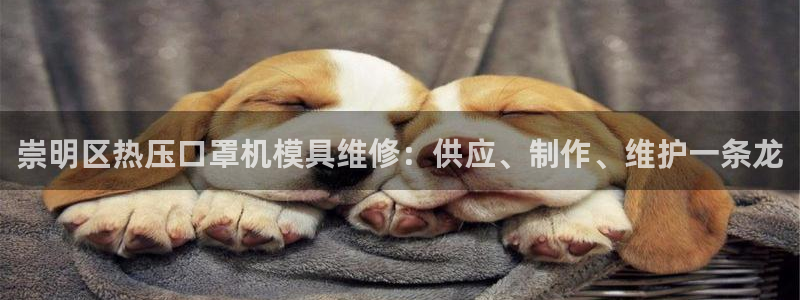 上海易倍投资有限公司