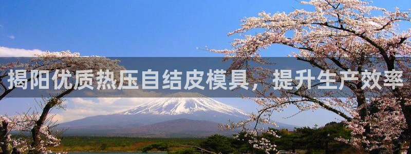 易倍易趣网