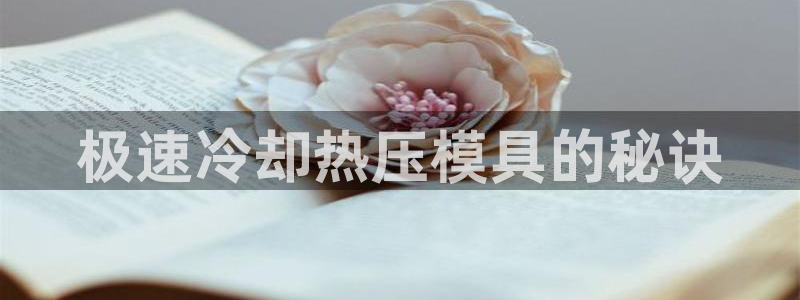 emc易倍老板