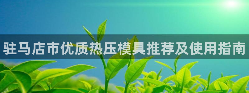 易倍申片