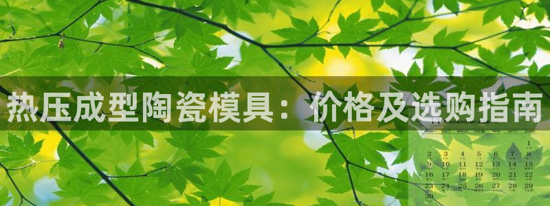 易倍单词app下载