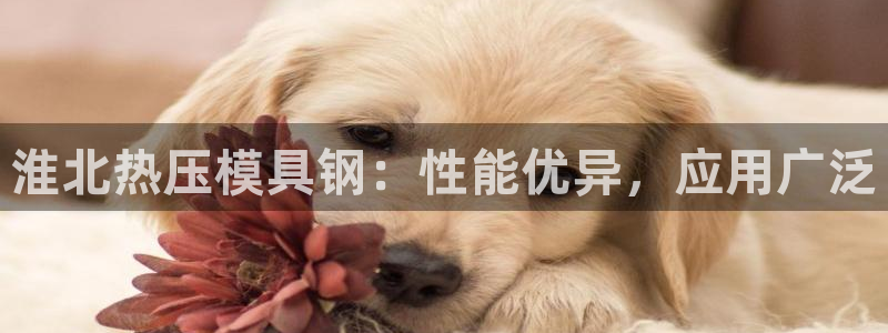 易倍emc全站
