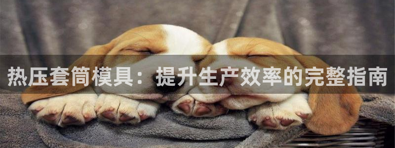 emc低频不过