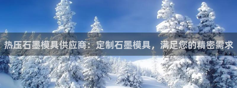 易倍单词官方网站：热压石墨模具供应商：定制石墨模具，满足