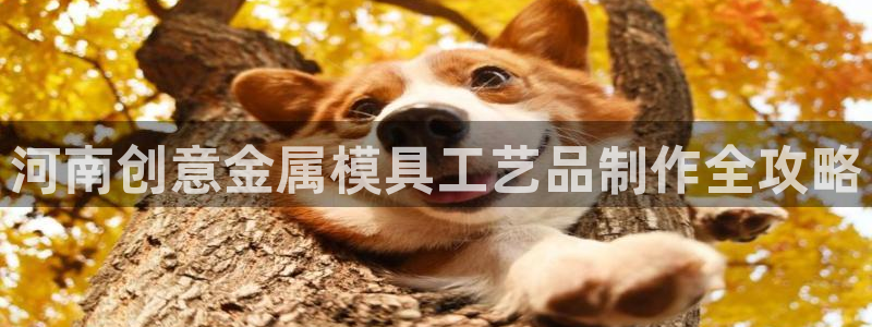 易倍达科技有限公司代运营