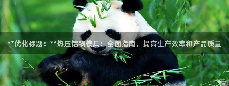 易倍单词软件：**优化标题：**热压铝锅模具：全面指南，