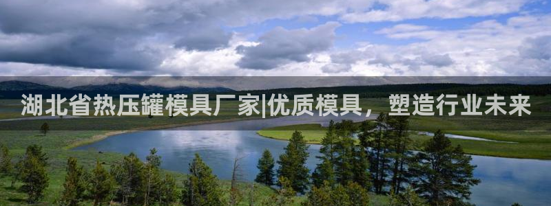 易倍达科技有限公司官网