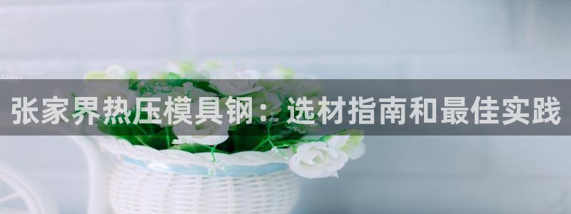 易倍思教育