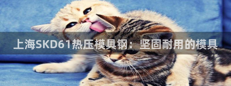 emc全站下载地址