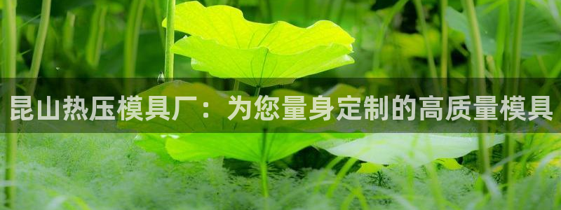 易倍纤官网