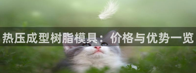 emc网页版