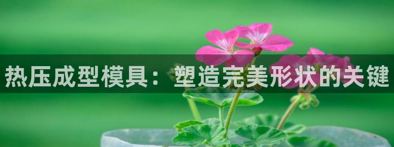 EMC易倍让身份验证