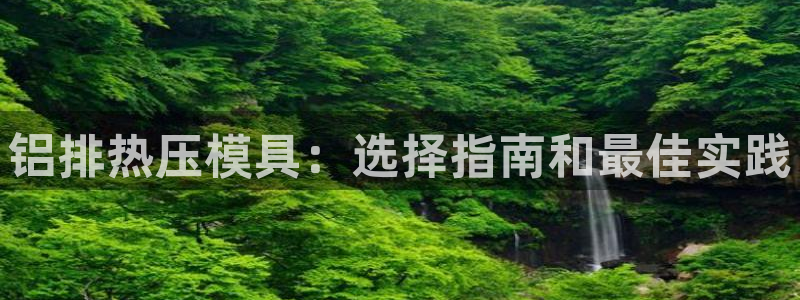 易倍单词官方网站的