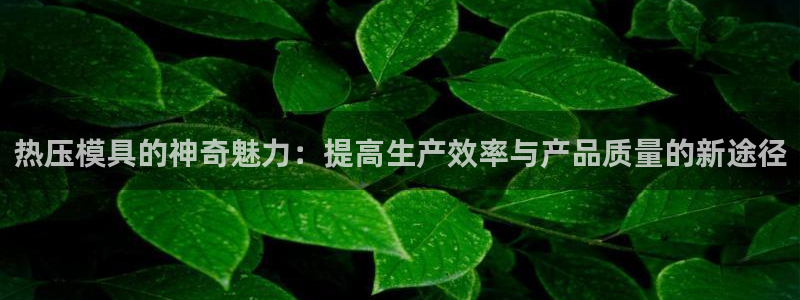 emc倍频只能是奇数倍吗：热压模具的神奇魅力：提高生产效