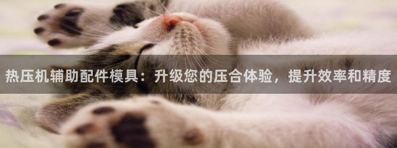 emc全站网页版