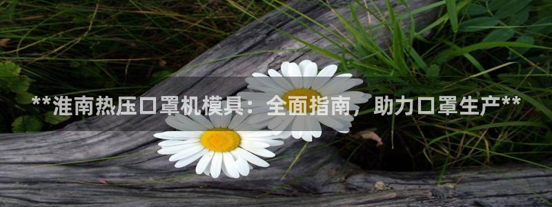 emc测试频率范围：**淮南热压口罩机模具：全面指南，助