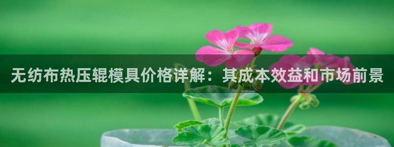 易倍申价格：无纺布热压辊模具价格详解：其成本效益和市场前
