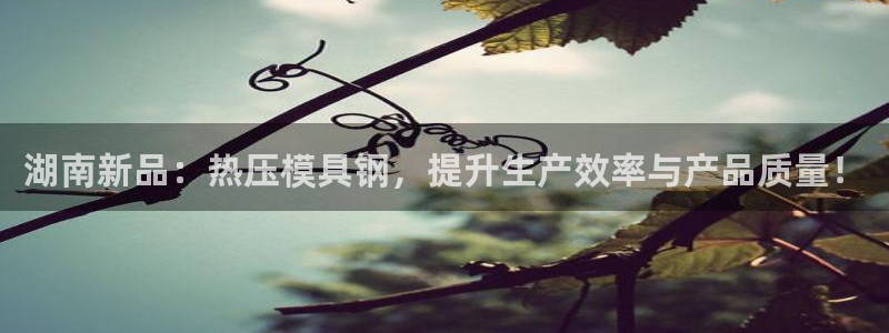 易倍纤谷物粉效果好吗：湖南新品：热压模具钢，提升生产效率