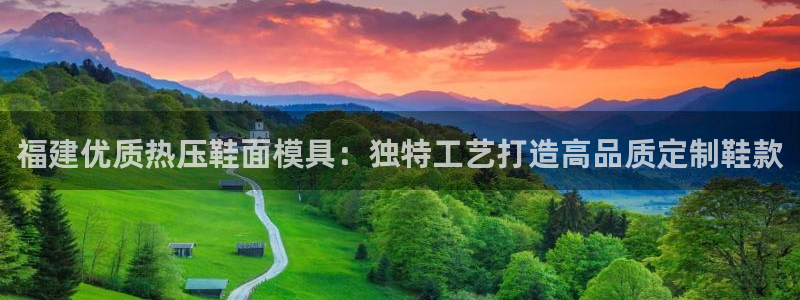 易倍纤酵素效果好吗：福建优质热压鞋面模具：独特工艺打造高