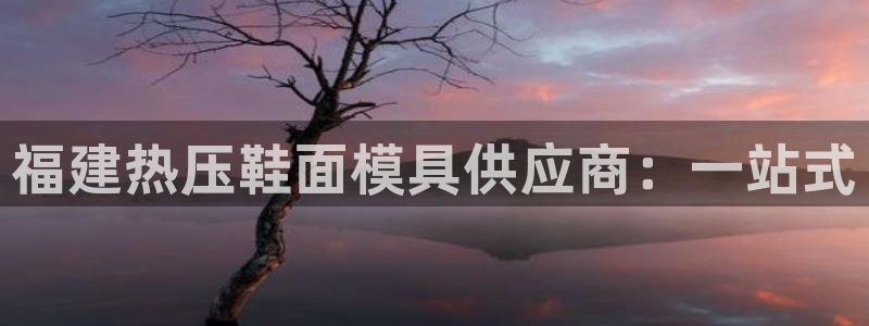 emc易倍官方平台：福建热压鞋面模具供应商：一站式